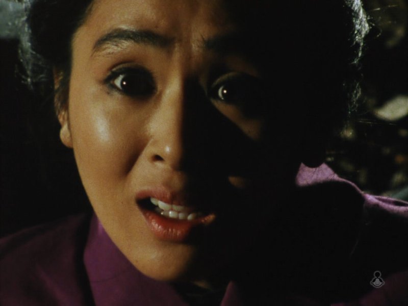 必殺仕事人Ⅴ 第12話 組紐屋の竜 忍者と闘う